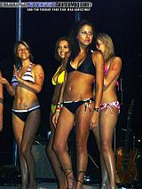 dryoff Show Images Page 13